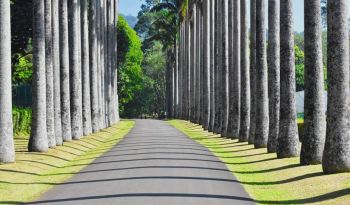 botanic-gardens-kandy-private-jet-holidays-packages-sri-lanka-ceylon-expeditions 