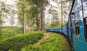 ella-train-tailor-made-luxury-holiday-in-sri-lanka-ceylon-expeditions 