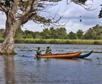 habarana-sri-lanka-ceylon-expeditions