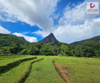 lakegala-sri-lanka-knuckles-mountain-ceylon-expeditions 