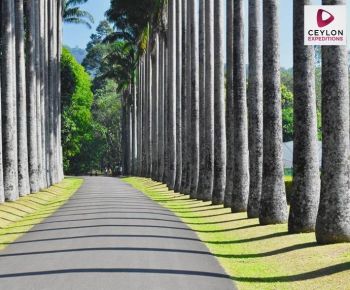 royal-botanic-gardens-kandy-sri-lanka-holiday-packages-ceylon-expeditions